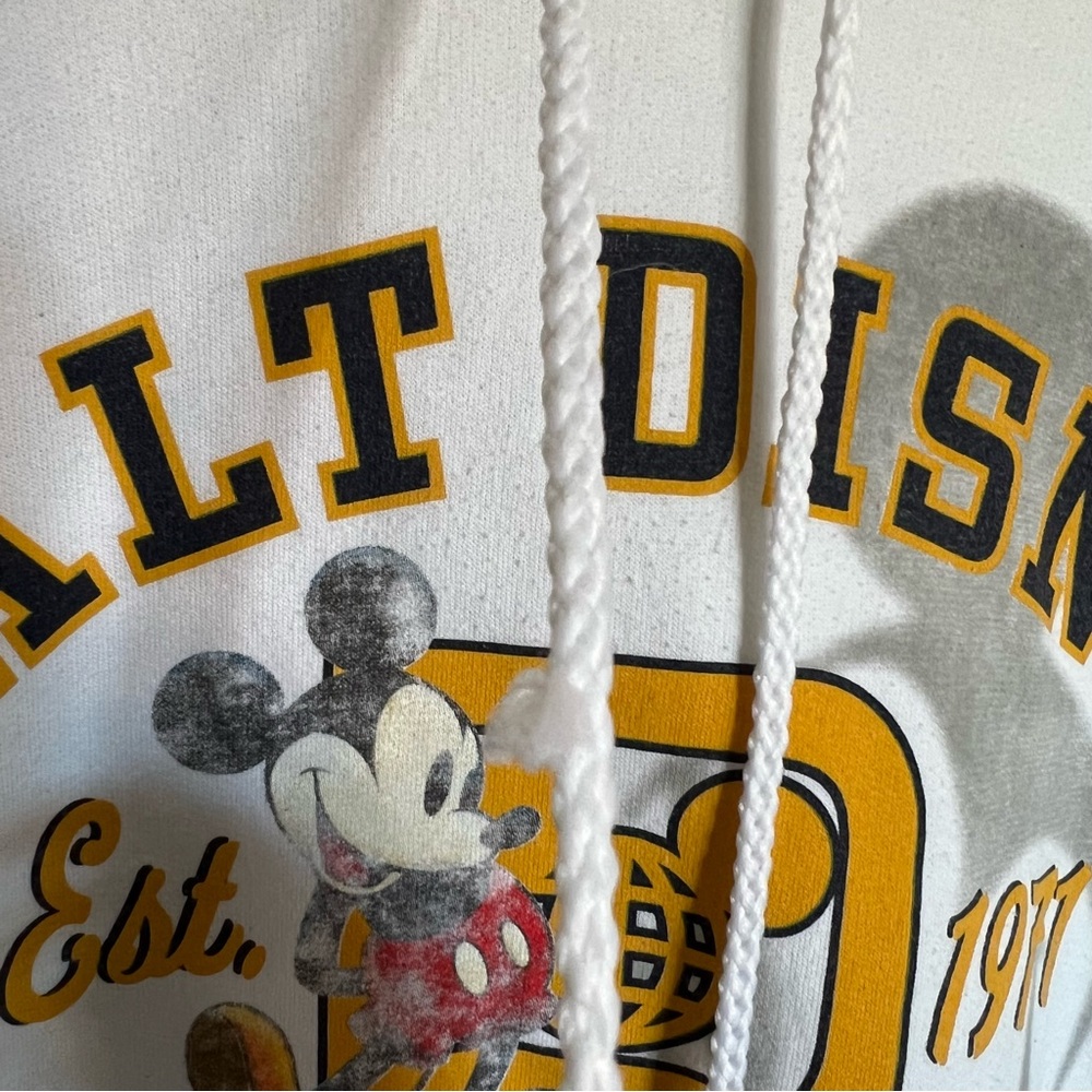 Disneyland Resort Disneyworld hoodie - Picture 3 of 5